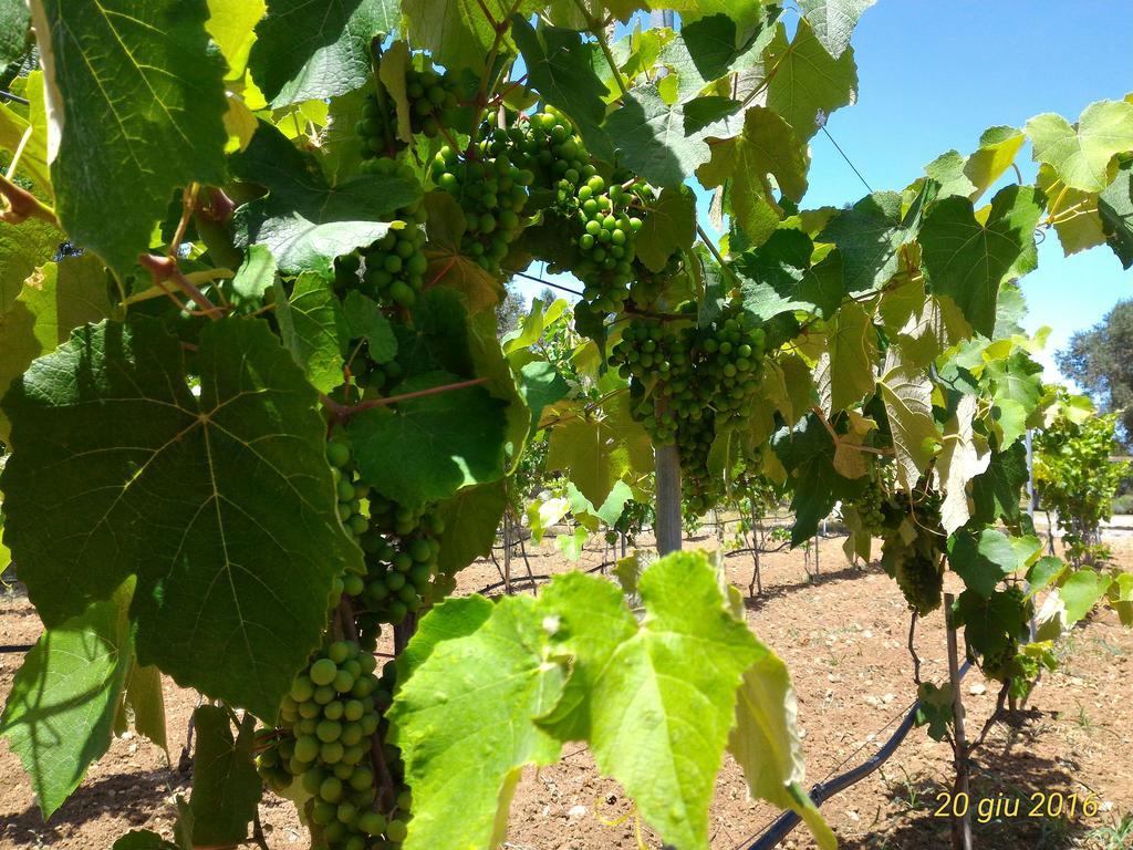 Masseria Vignenove Uggiano La Chiesa Eksteriør bilde